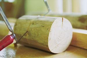 専門店で扱うトラックシートについて