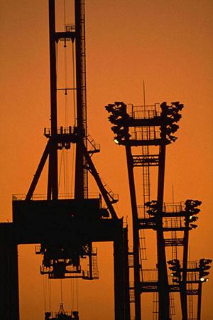 狭小地でも安心！ミニクローラクレーンレンタルのメリットと選び方ガイド